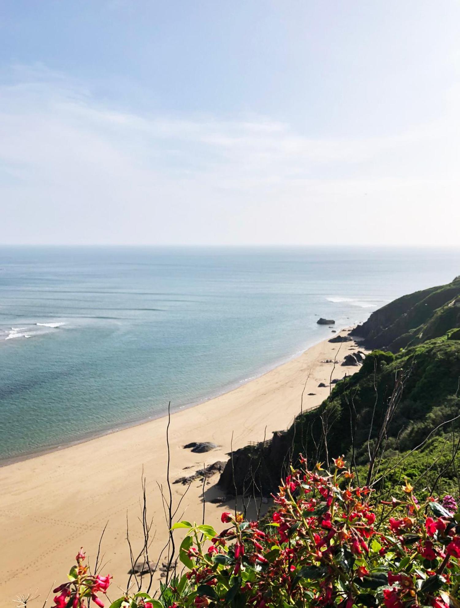 Cosy Beachside Cottage Bigbury Zewnętrze zdjęcie